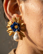 Aros 1082