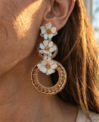 Aros 1085