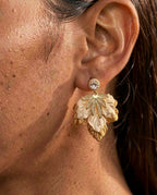 Aros 1088