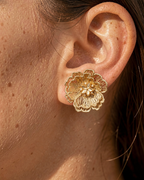 Aros 1096