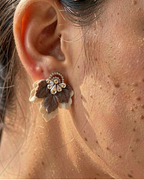 Aros 1097