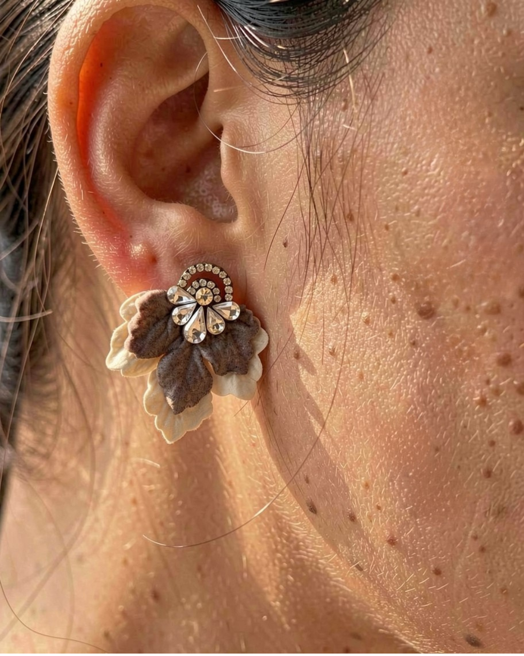 Aros 1097