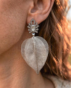 Aros 1118