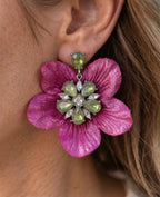 Aros 1162