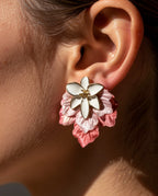 Aros 1179