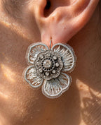 Aros 1181