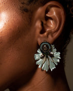 Aros 1204