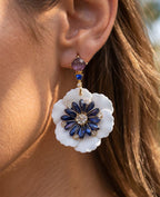 Aros 1209
