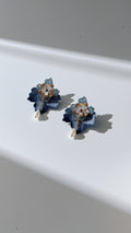 Aros Azules 1229