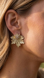 Aros 1072