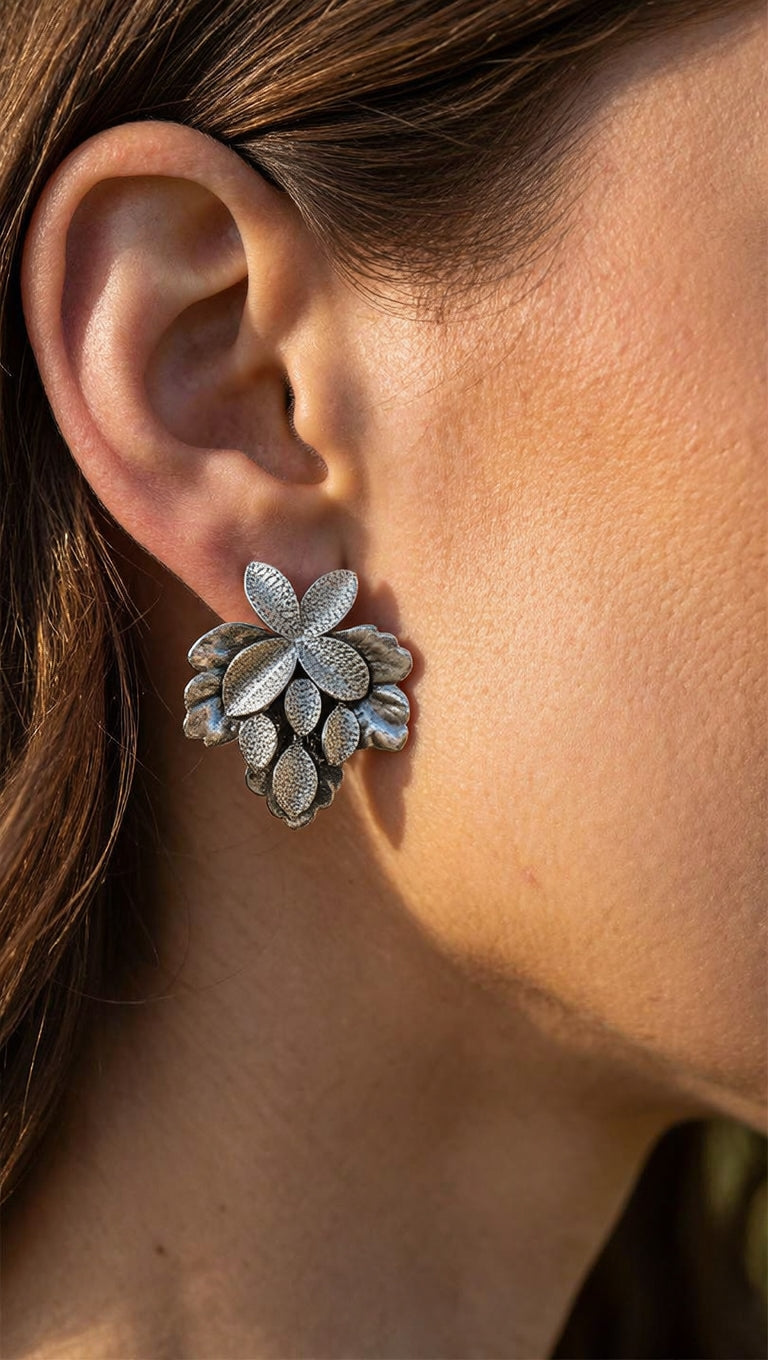 Aros Plateados 1270