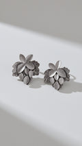 Aros Plateados 1270