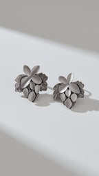 Aros Plateados 1270