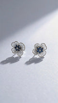 Aros Plateados 1301