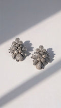 Aros Plateados 1310