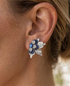 Aros 797